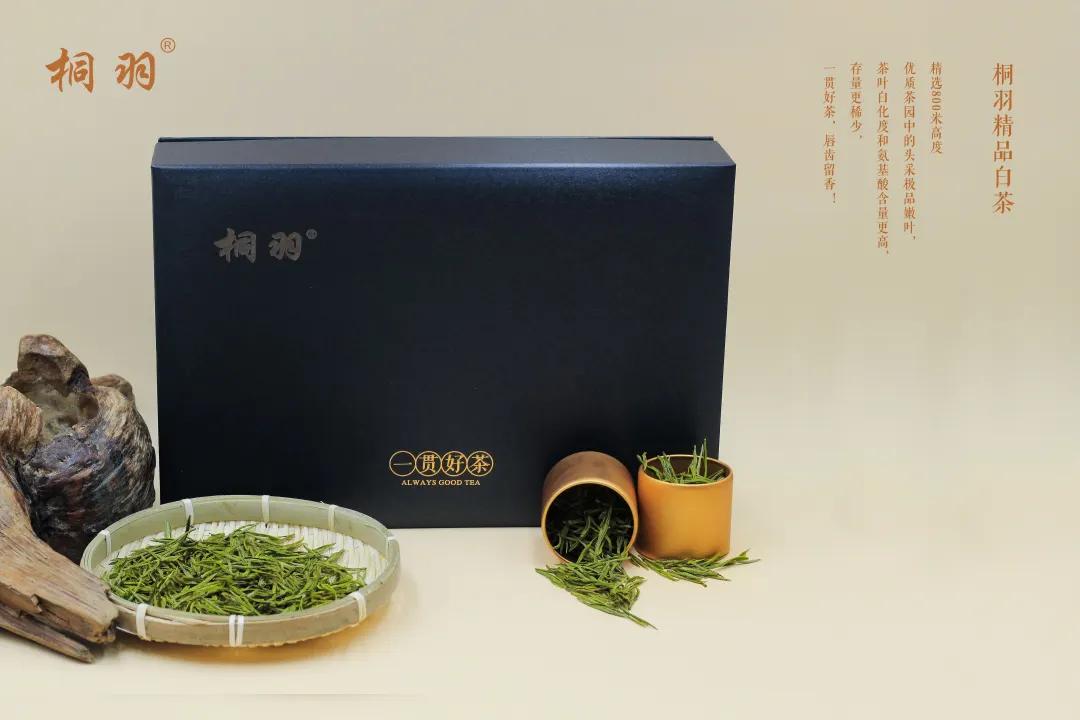 圖片5.jpg